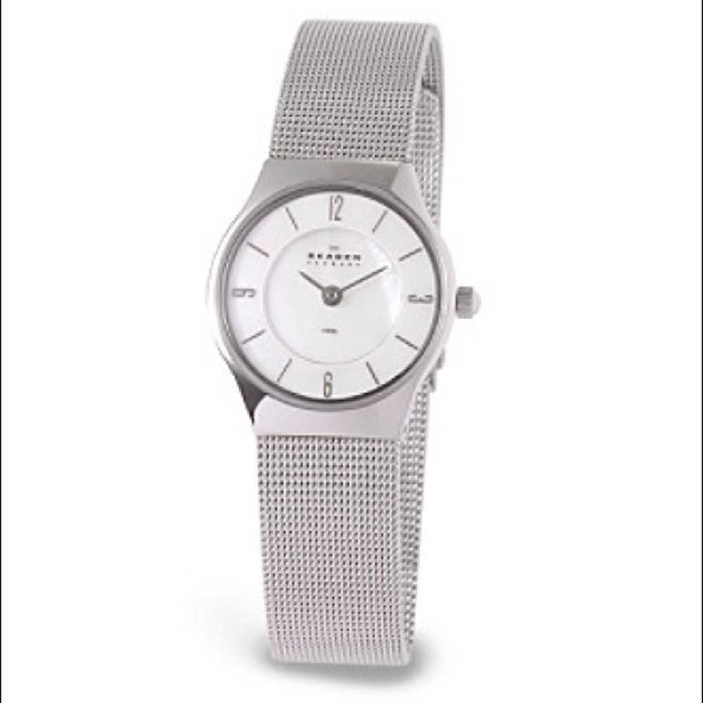 Skagen Women's Stainless Steel Mesh Watch